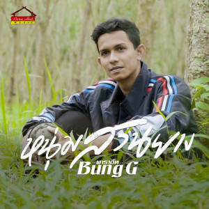 Listen to หนุ่มสวนยาง song with lyrics from Bung G