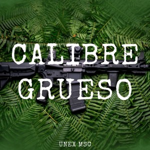 Listen to Calibre Grueso (Explicit) song with lyrics from Unex Msc