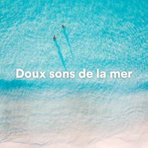 Album Doux sons de la mer (Sons de la mer pour dormir) from Vagues de l'océan
