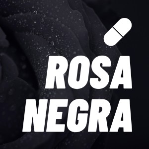 The Pills的专辑Rosa Negra