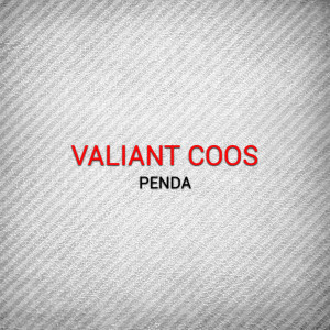 Album Penda from Valiant Coos