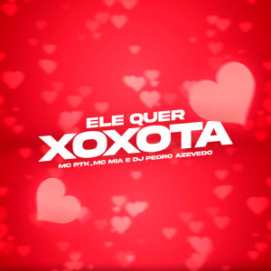 Listen to Ele Quer Xoxota (Explicit) song with lyrics from Dj Pedro Azevedo