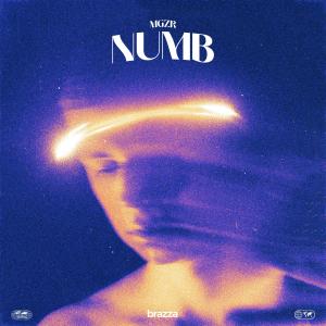 Listen to Numb song with lyrics from mgZr