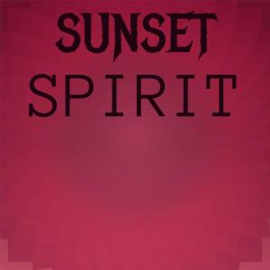 Various Artists的專輯Sunset Spirit