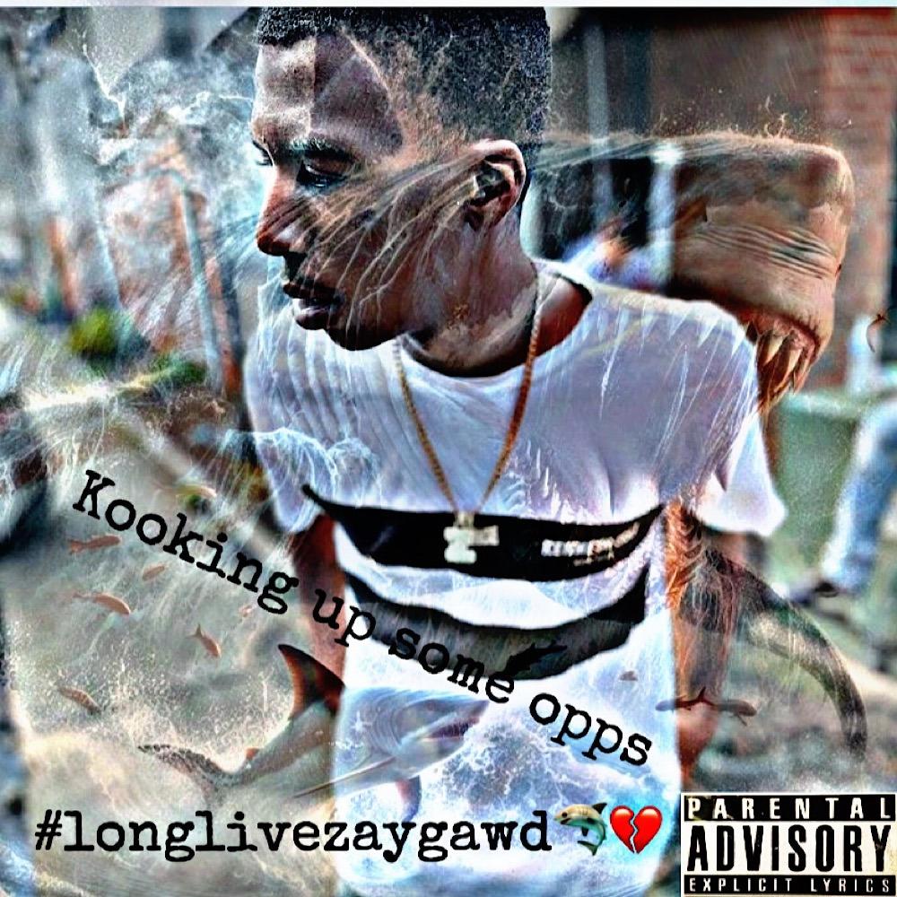 Kooking up some opps (feat. ZAYGAWDOFFICIAL) (Explicit)