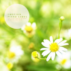Album A Sleepy Sleeping Piano Barrel With A Weary Heart from Various Artists