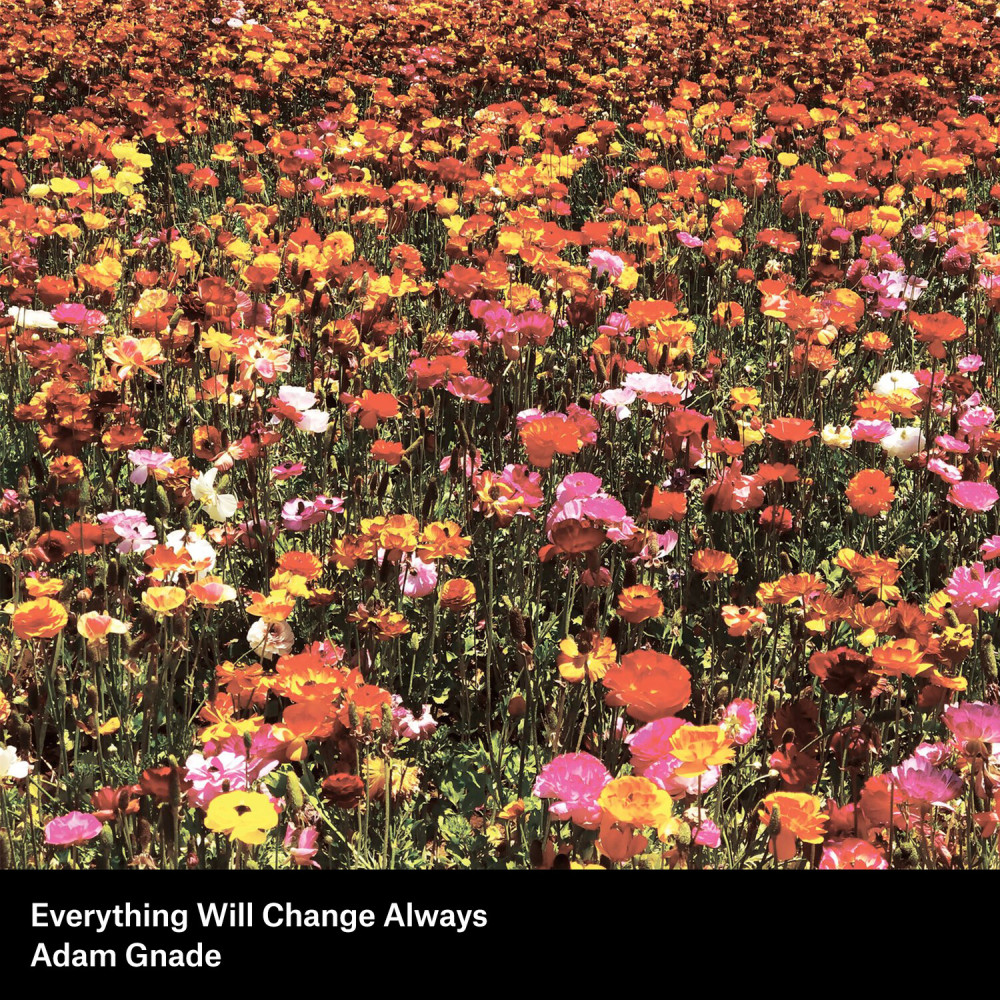 Everything Will Change Always (Explicit)