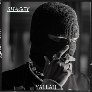 Album Yallah (Explicit) from Shaggy