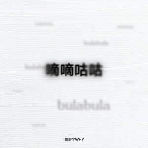 收聽魏宏宇的嘀嘀咕咕 (和声伴奏)歌詞歌曲