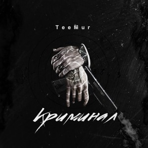 Listen to Криминал song with lyrics from Teemur