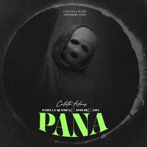 Varios Artista的專輯Pana (feat. Varios Artista)