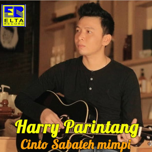 ดาวน์โหลดและฟังเพลง Dibatin Indak Talapehkan พร้อมเนื้อเพลงจาก Harry Parintang