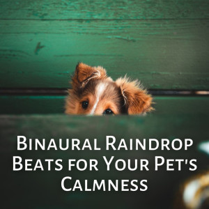 Album Binaural Raindrop Beats for Your Pet's Calmness oleh Ambient Tech