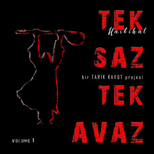 Tek Saz Tek Avaz的专辑Tek Saz Tek Avaz, Vol. 1 (Hasbihal)