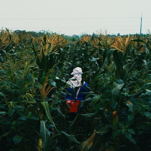不要害怕忘記 (feat. 以莉高露)