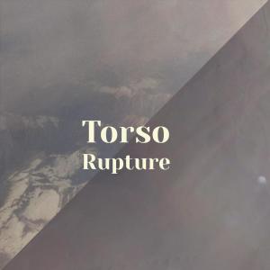 Album Torso Rupture oleh Various