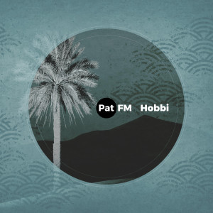 Listen to Hobbi (Johannes Albert Remix) song with lyrics from Pat FM