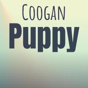Listen to Coogan Puppy song with lyrics from Denia Minerve