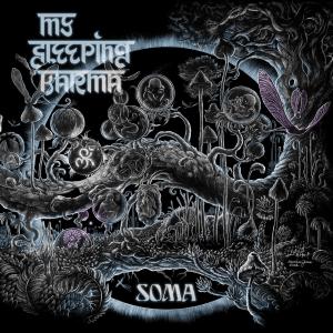 ดาวน์โหลดและฟังเพลง Somalatha พร้อมเนื้อเพลงจาก My Sleeping Karma