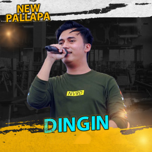 ดาวน์โหลดและฟังเพลง Dingin พร้อมเนื้อเพลงจาก New pallapa