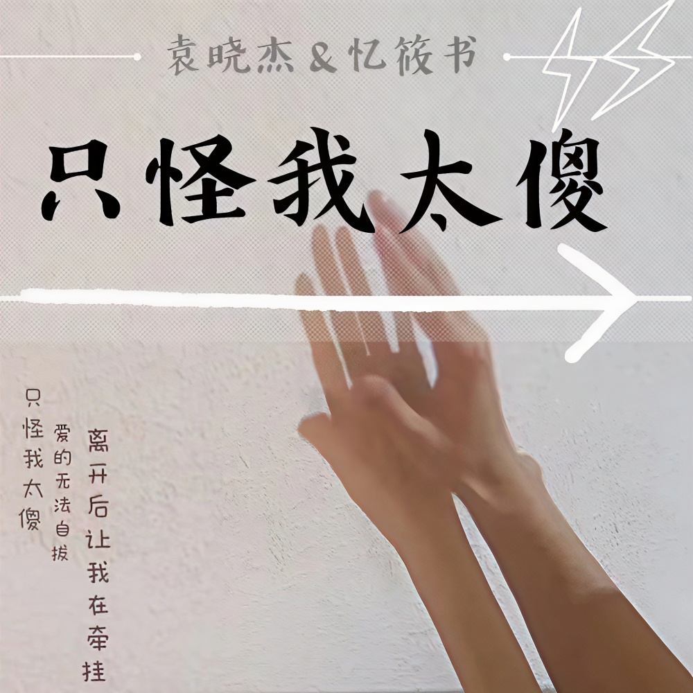 只怪我太傻 (伴奏)