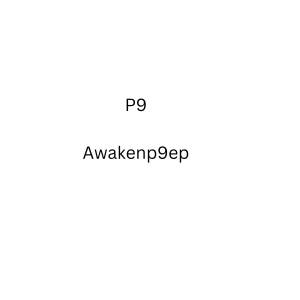 P9的專輯Awakenp9ep