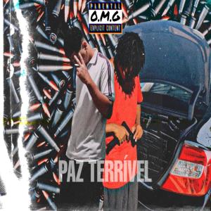 ดาวน์โหลดและฟังเพลง Paz Terrível (Explicit) พร้อมเนื้อเพลงจาก Stvnley