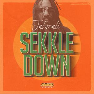 Album Sekkle Down from Jahmali