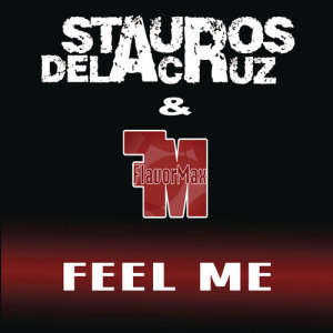 ดาวน์โหลดและฟังเพลง Feel Me (Extended) พร้อมเนื้อเพลงจาก Stauros De La Cruz