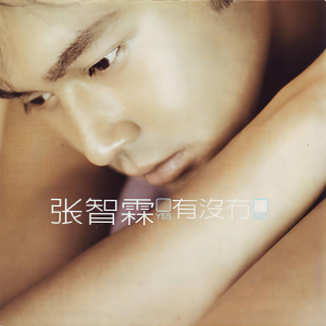 อัลบัม 有没有 ศิลปิน 张智霖
