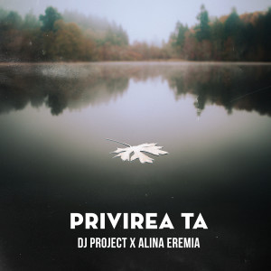 Dj Project的專輯Privirea ta