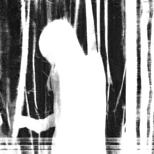Listen to Fraud (Absent Chronicles Remix) song with lyrics from TetraTara