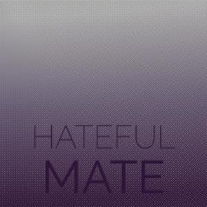 Album Hateful Mate from Various