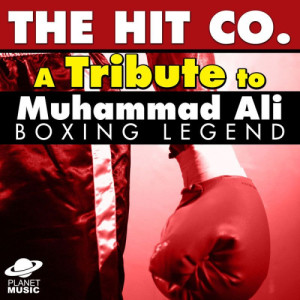 ดาวน์โหลดและฟังเพลง Holding Out for a Hero พร้อมเนื้อเพลงจาก The Hit Co.