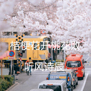 收聽聽風詩辰的桔梗花開桃花敗歌詞歌曲