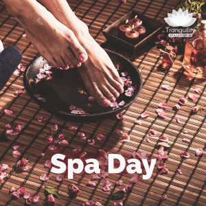 Listen to Thai Treatments song with lyrics from Tranquility Spa Universe
