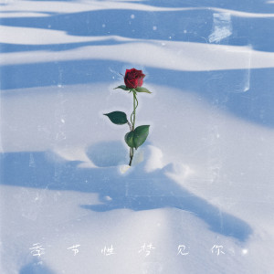Album 季节性梦见你 from 布鲁昔
