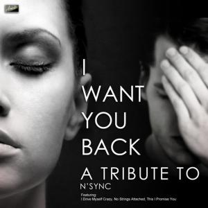 收聽Ameritz Tribute Club的Tearin Up My Heart歌詞歌曲
