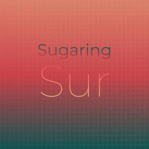 Various Artists的專輯Sugaring Sur