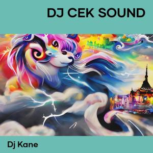 Album Dj Cek Sound oleh DJ Kane