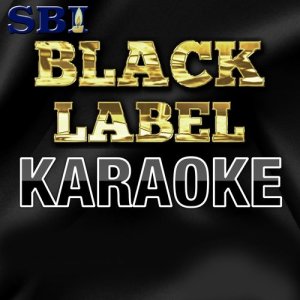 อัลบัม Sbi Karaoke Black Label 2014 Week 44 ศิลปิน SBI Audio Karaoke