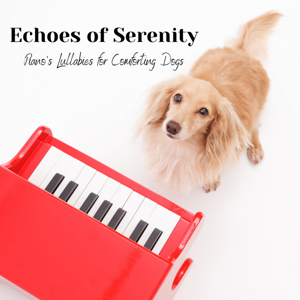 Canine Serenades: Echoes of Serenity in Piano's Melodies