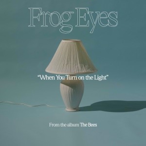 Frog Eyes的專輯When You Turn on the Light
