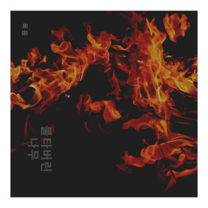 Album 불타버린 나무 from 