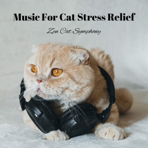 Album Music For Cat Stress Relief: Zen Cat Symphony from Wp Sounds