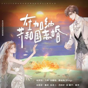 Album 在加纳共和国离婚 from 飞哥
