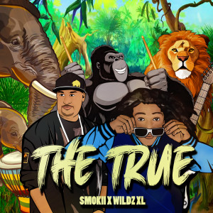 Dengarkan lagu The True nyanyian WILDZ XL dengan lirik