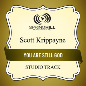 ดาวน์โหลดและฟังเพลง No One Else (Medium Key Performance Track With Background Vocals) พร้อมเนื้อเพลงจาก Scott Krippayne