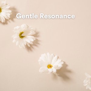 Piano的專輯Gentle Resonance (Meditative Piano Landscapes)