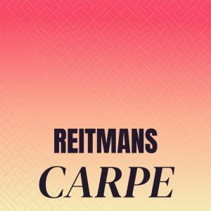Listen to Reptile Rte song with lyrics from Jaina Cian